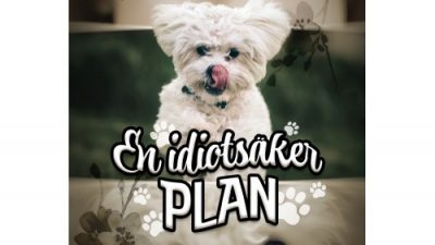 Boktips en idiotsäker plan