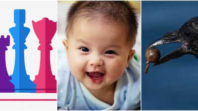 Collage på veckans nyheter